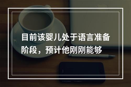 目前该婴儿处于语言准备阶段，预计他刚刚能够