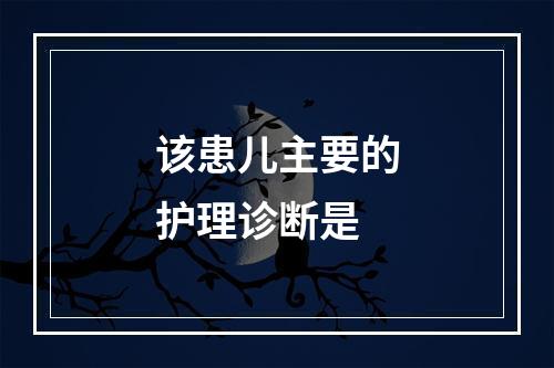 该患儿主要的护理诊断是