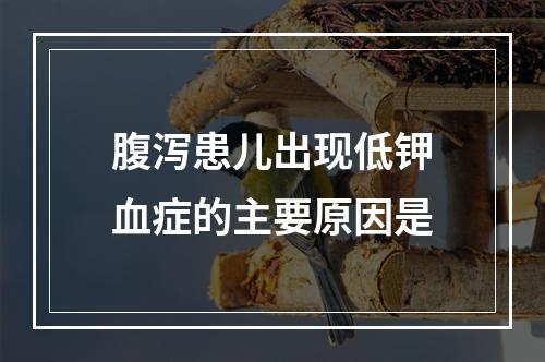 腹泻患儿出现低钾血症的主要原因是