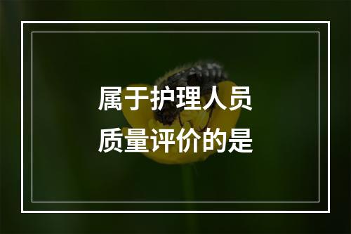 属于护理人员质量评价的是