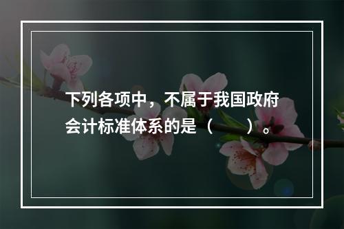 下列各项中，不属于我国政府会计标准体系的是（　　）。