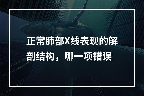 正常肺部X线表现的解剖结构，哪一项错误