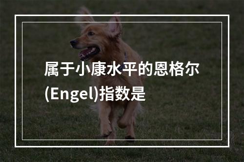 属于小康水平的恩格尔(Engel)指数是