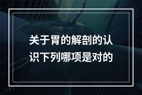 关于胃的解剖的认识下列哪项是对的