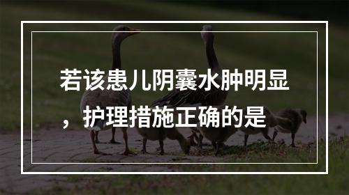 若该患儿阴囊水肿明显，护理措施正确的是