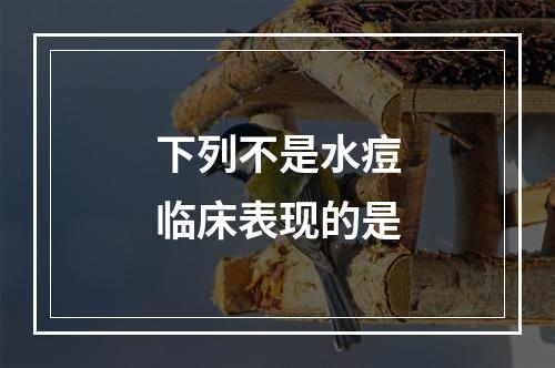 下列不是水痘临床表现的是