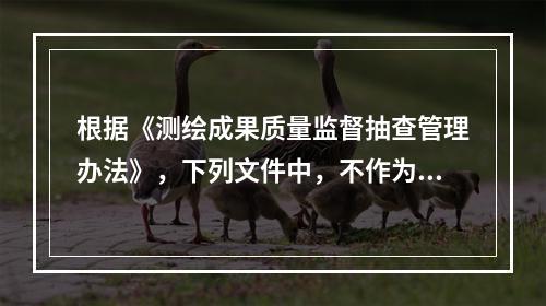 根据《测绘成果质量监督抽查管理办法》，下列文件中，不作为质