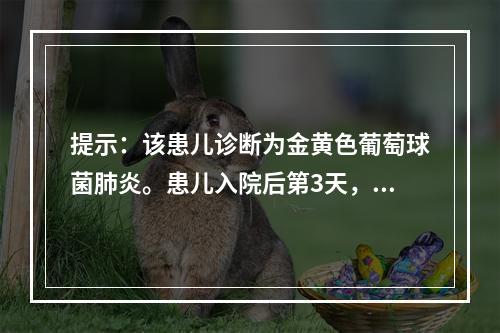 提示：该患儿诊断为金黄色葡萄球菌肺炎。患儿入院后第3天，突然