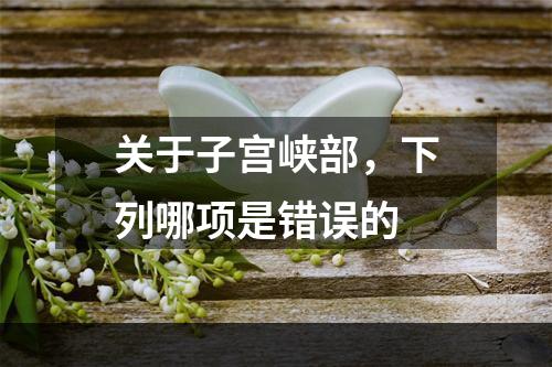 关于子宫峡部，下列哪项是错误的