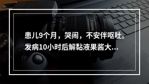 患儿9个月，哭闹，不安伴呕吐。发病10小时后解黏液果酱大便。