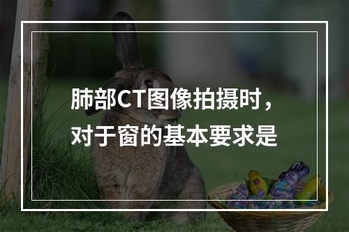 肺部CT图像拍摄时，对于窗的基本要求是