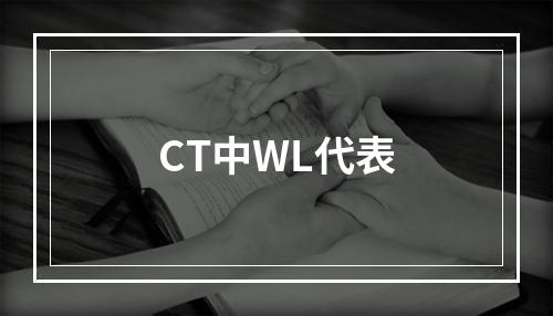 CT中WL代表