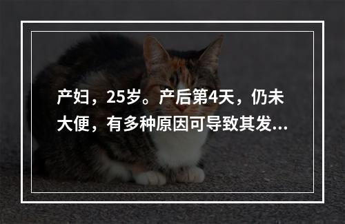 产妇，25岁。产后第4天，仍未大便，有多种原因可导致其发生便