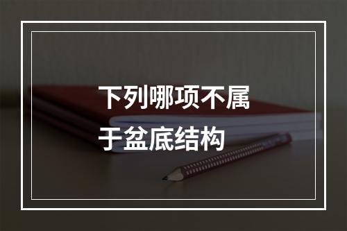 下列哪项不属于盆底结构