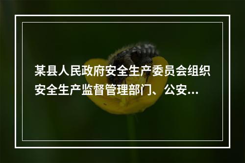 某县人民政府安全生产委员会组织安全生产监督管理部门、公安消防