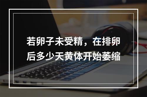 若卵子未受精，在排卵后多少天黄体开始萎缩