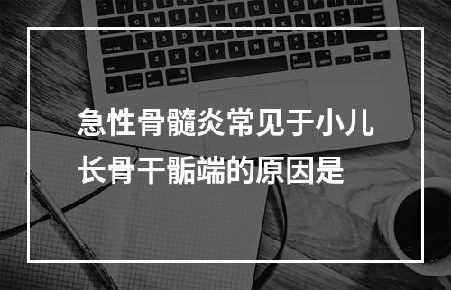 急性骨髓炎常见于小儿长骨干骺端的原因是