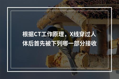 根据CT工作原理，X线穿过人体后首先被下列哪一部分接收