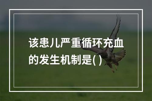 该患儿严重循环充血的发生机制是( )