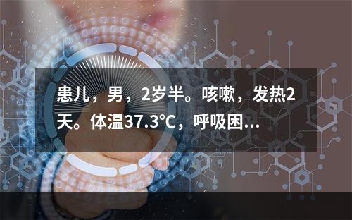 患儿，男，2岁半。咳嗽，发热2天。体温37.3℃，呼吸困难，