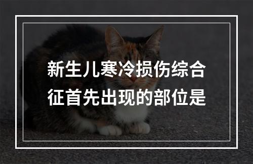 新生儿寒冷损伤综合征首先出现的部位是