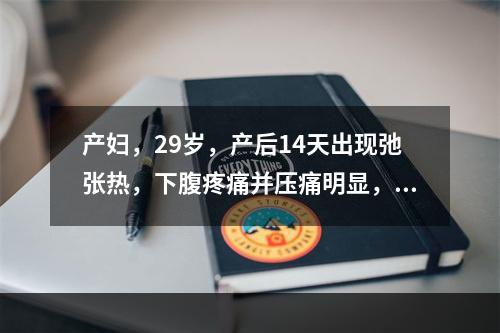 产妇，29岁，产后14天出现弛张热，下腹疼痛并压痛明显，下肢