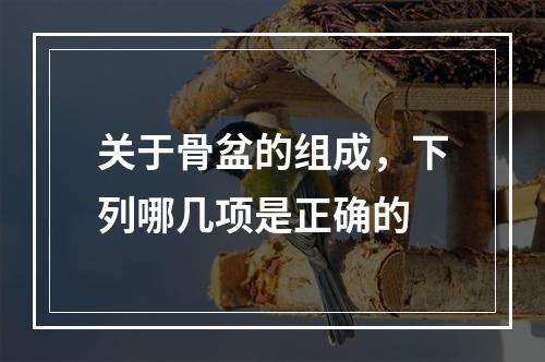 关于骨盆的组成，下列哪几项是正确的