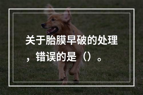 关于胎膜早破的处理，错误的是（）。