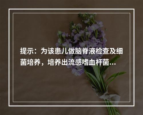 提示：为该患儿做脑脊液检查及细菌培养，培养出流感嗜血杆菌。目