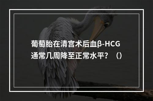 葡萄胎在清宫术后血β-HCG通常几周降至正常水平？（）