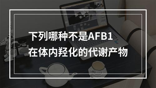 下列哪种不是AFB1在体内羟化的代谢产物