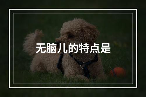 无脑儿的特点是