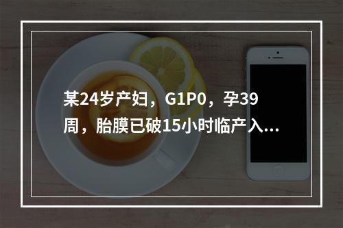 某24岁产妇，G1P0，孕39周，胎膜已破15小时临产入院，