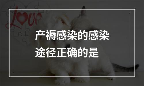 产褥感染的感染途径正确的是