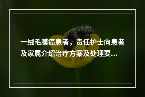 一绒毛膜癌患者，责任护士向患者及家属介绍治疗方案及处理要点，