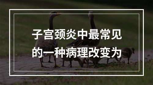 子宫颈炎中最常见的一种病理改变为