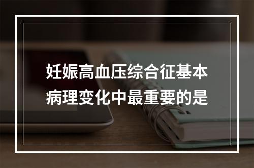 妊娠高血压综合征基本病理变化中最重要的是