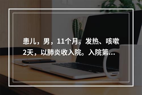 患儿，男，11个月。发热、咳嗽2天，以肺炎收入院。入院第2天