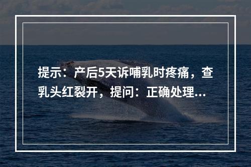 提示：产后5天诉哺乳时疼痛，查乳头红裂开，提问：正确处理措施