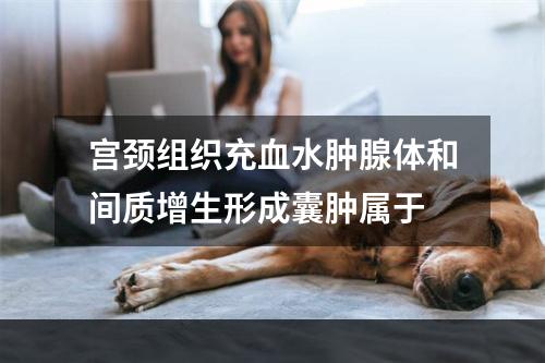 宫颈组织充血水肿腺体和间质增生形成囊肿属于