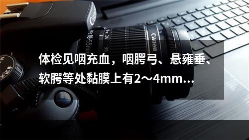 体检见咽充血，咽腭弓、悬雍垂、软腭等处黏膜上有2～4mm大小