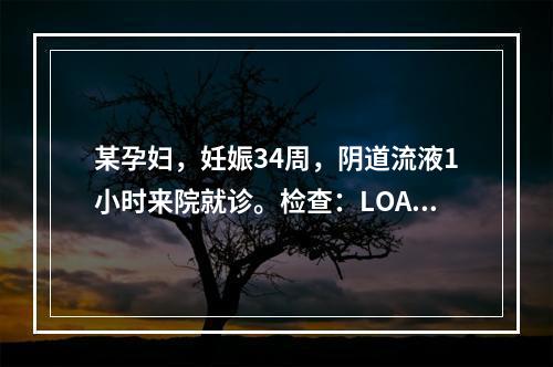 某孕妇，妊娠34周，阴道流液1小时来院就诊。检查：LOA，胎