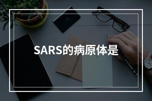 SARS的病原体是