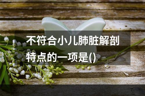 不符合小儿肺脏解剖特点的一项是()