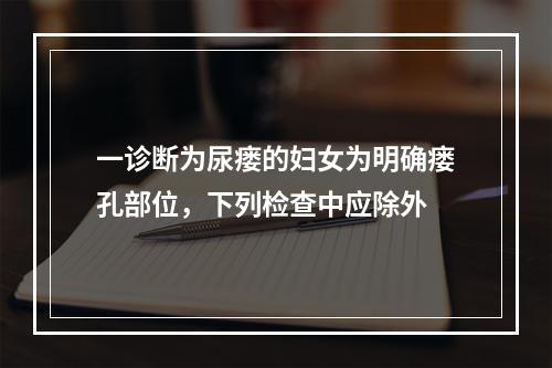 一诊断为尿瘘的妇女为明确瘘孔部位，下列检查中应除外