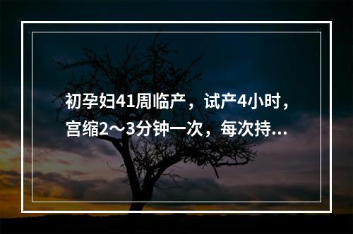 初孕妇41周临产，试产4小时，宫缩2～3分钟一次，每次持续约