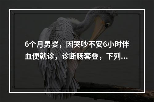 6个月男婴，因哭吵不安6小时伴血便就诊，诊断肠套叠，下列哪项