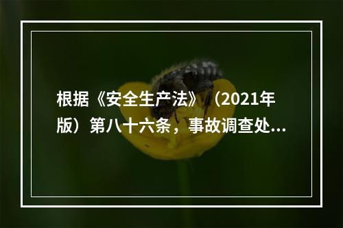 根据《安全生产法》（2021年版）第八十六条，事故调查处理应