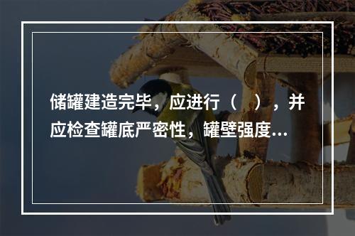 储罐建造完毕，应进行（　），并应检查罐底严密性，罐壁强度及严