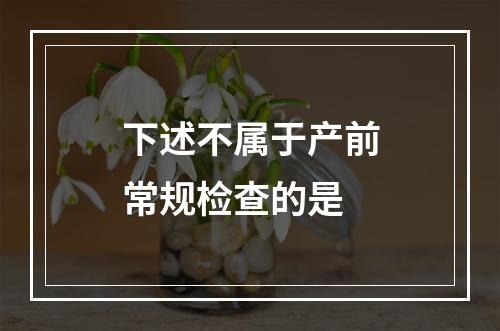 下述不属于产前常规检查的是